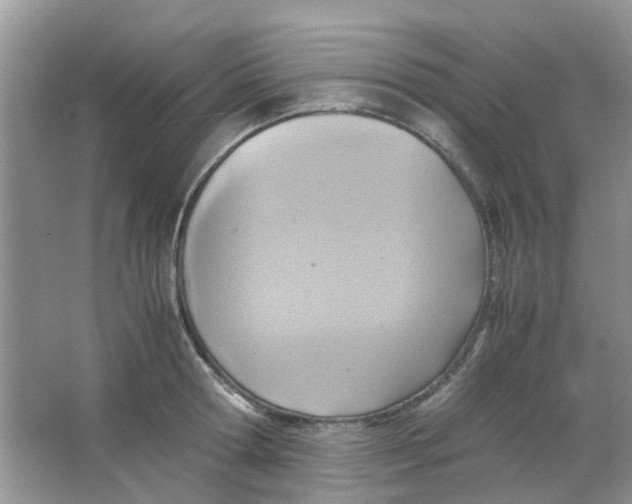 X0000065960802200603241846