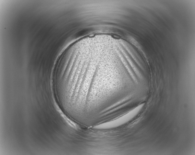 X0000065960803200603241846