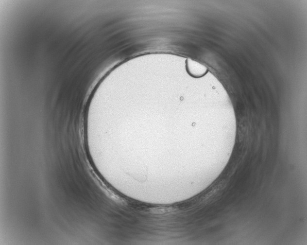 X0000065960804200603241845