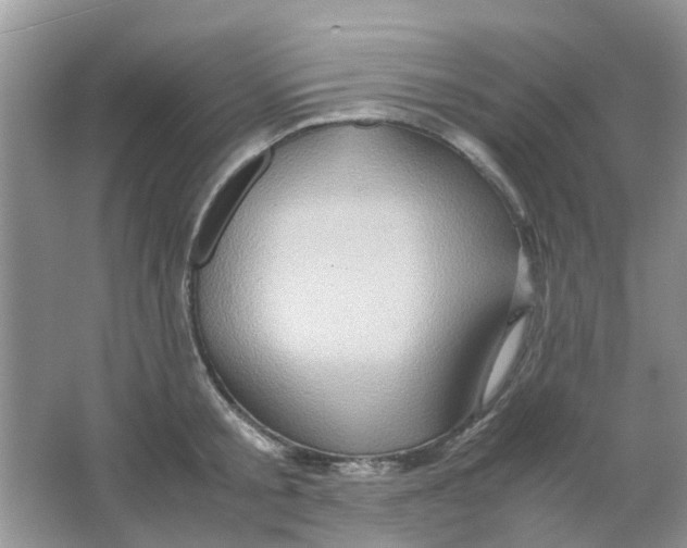 X0000065960805200603241845