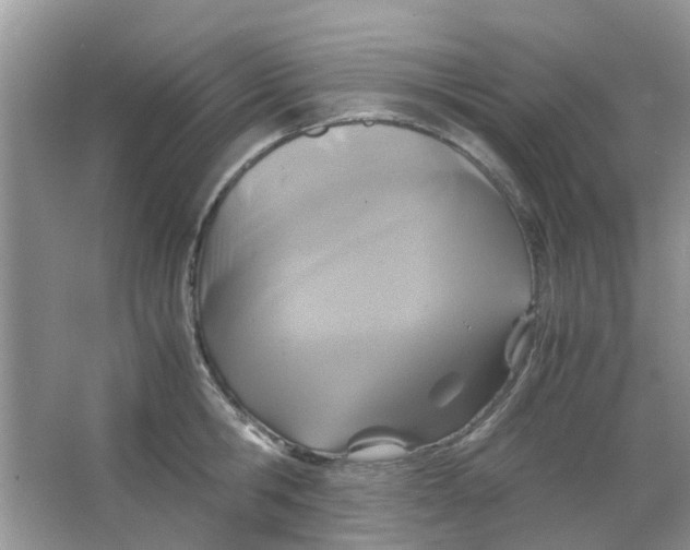 X0000065960806200603241845