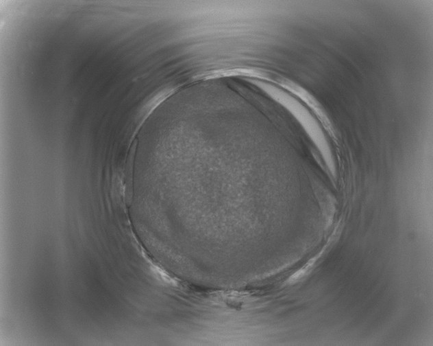 X0000065960809200603241845