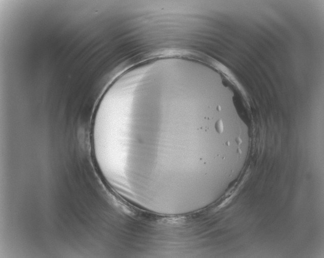 X0000065960810200603241845