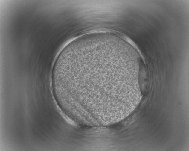 X0000065960811200603241845