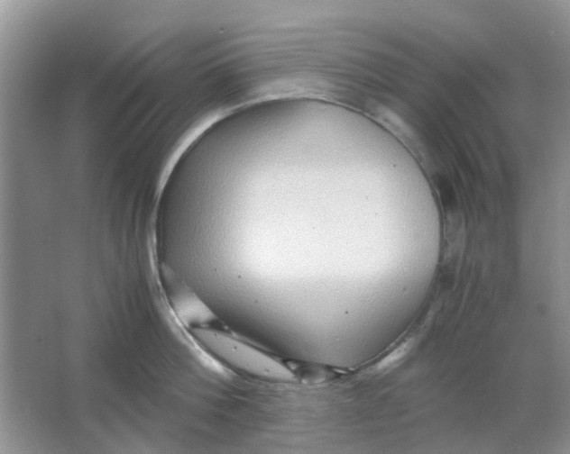 X0000065960812200603241845