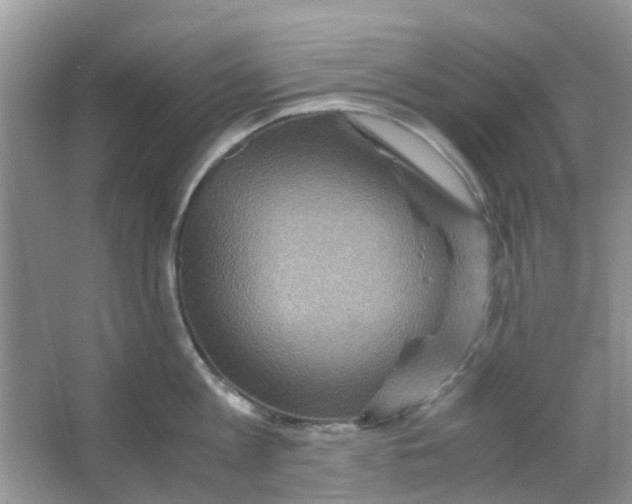 X0000065960813200603241845