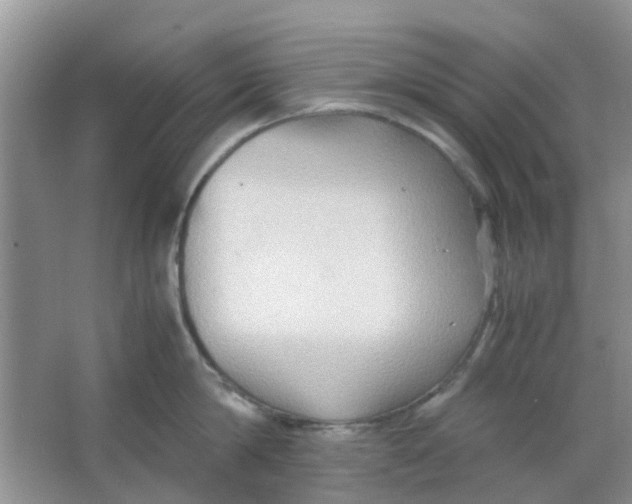 X0000065960814200603241845