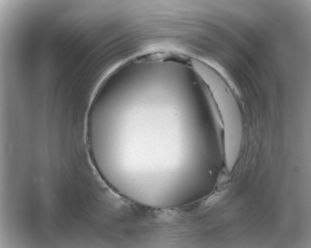 X0000065960815200603241845