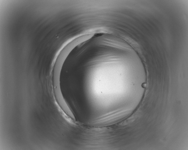 X0000065960816200603241845