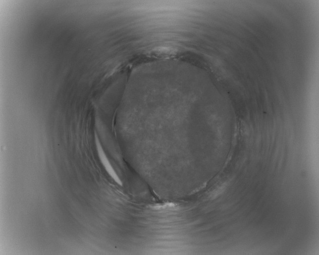 X0000065960818200603241845