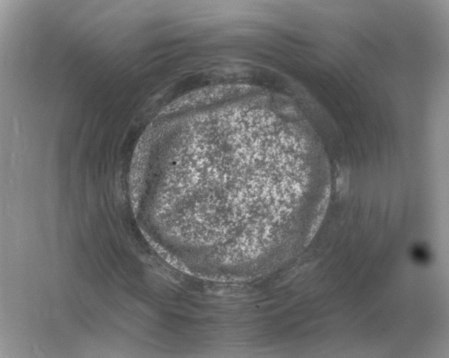 X0000065960819200603241845