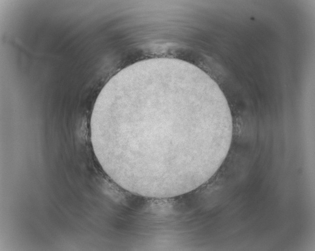 X0000065960820200603241845