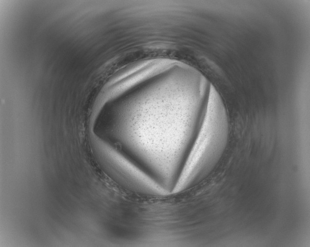 X0000065960821200603241845