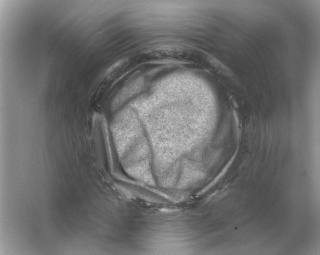 X0000065960822200603241845