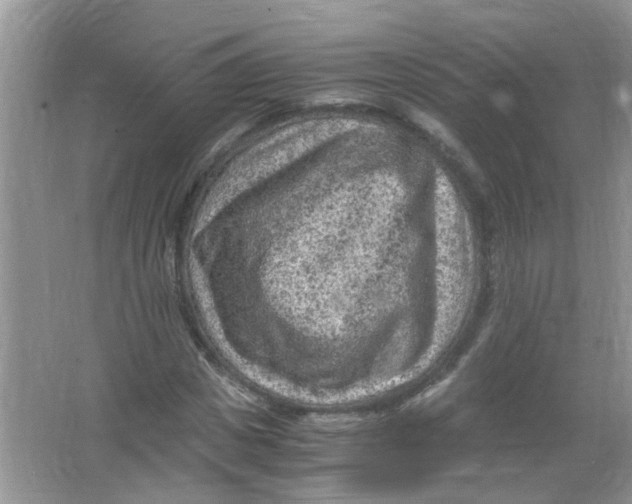 X0000065960825200603241845