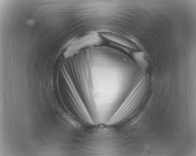 X0000065960826200603241845