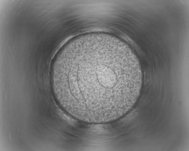 X0000065960828200603241845