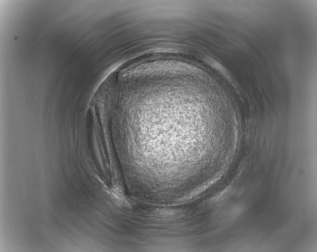 X0000065960829200603241845