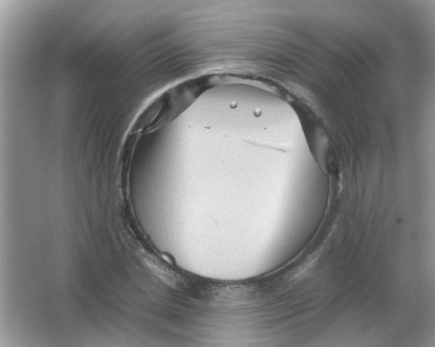 X0000065960830200603241845