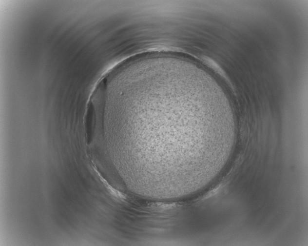 X0000065960831200603241845