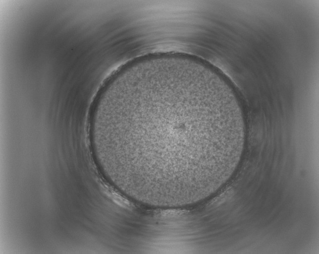 X0000065960832200603241845