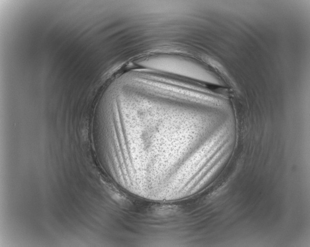 X0000065960833200603241845