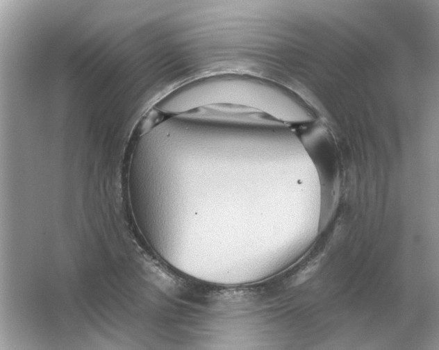 X0000065960834200603241845