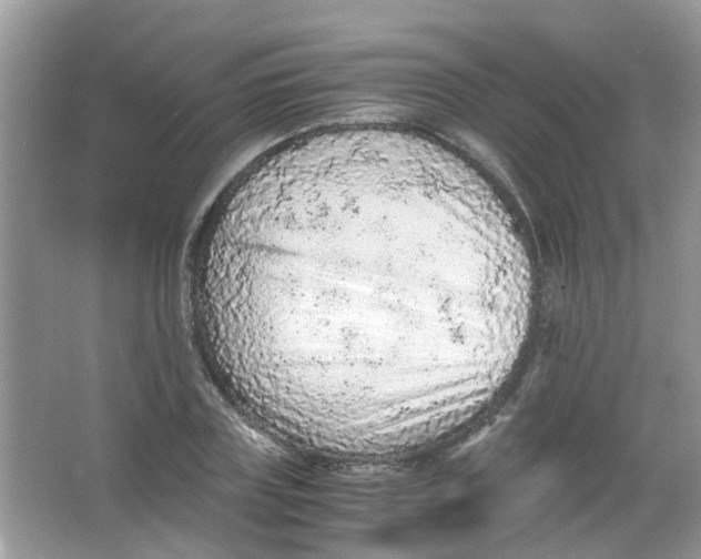 X0000065960835200603241845