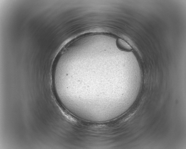 X0000065960837200603241845