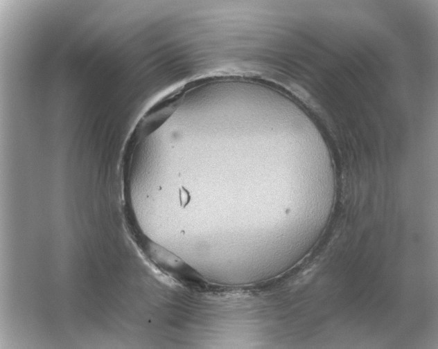 X0000065960838200603241845