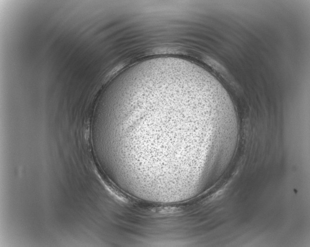 X0000065960841200603241845