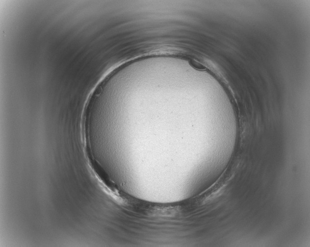 X0000065960843200603241845