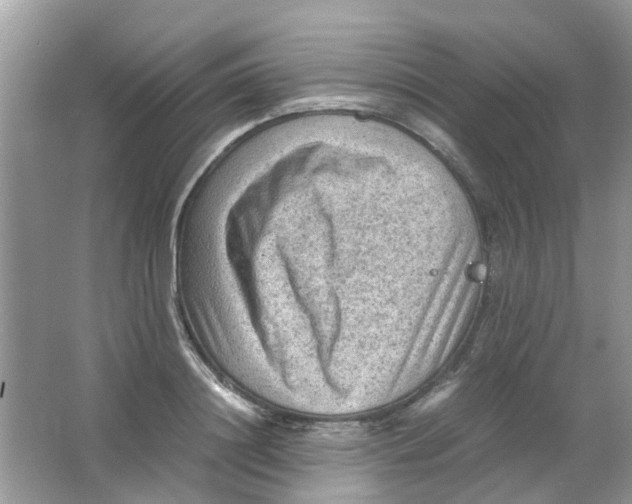 X0000065960844200603241845