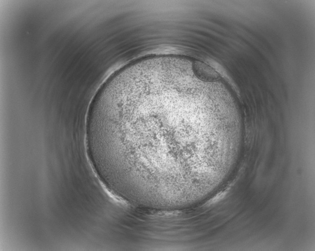 X0000065960845200603241845