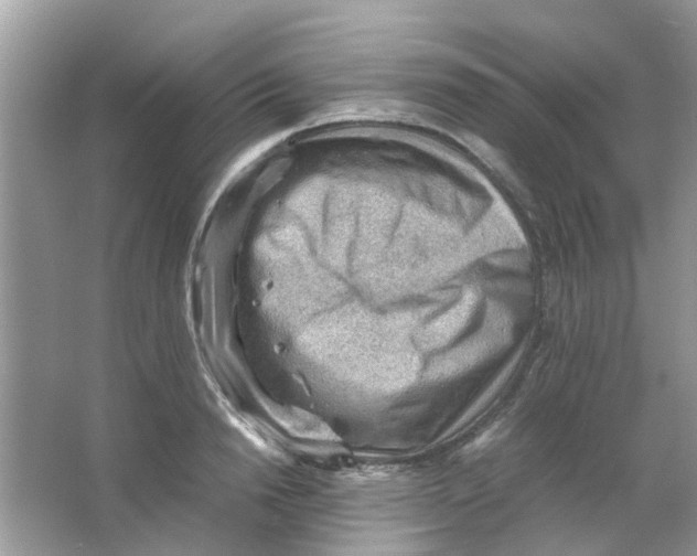 X0000065960846200603241845