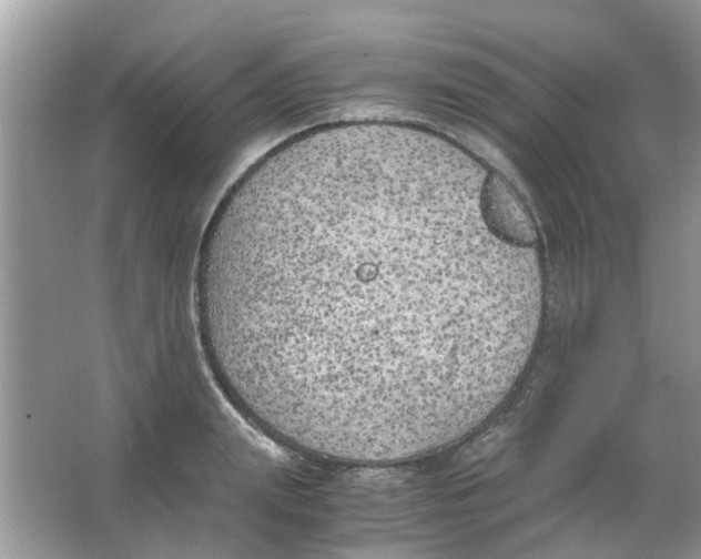 X0000065960847200603241845