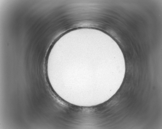 X0000065960848200603241845