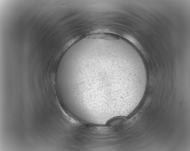 X0000065960849200603241845