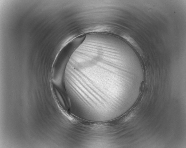 X0000065960850200603241845