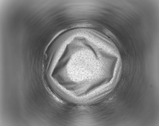 X0000065960852200603241845