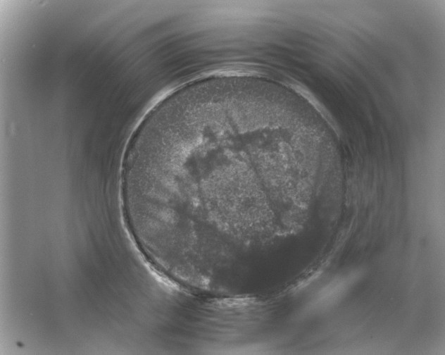 X0000065960853200603241845