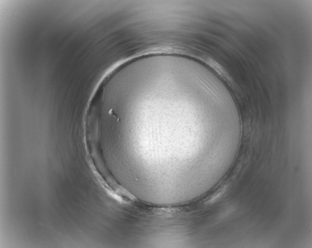 X0000065960854200603241845