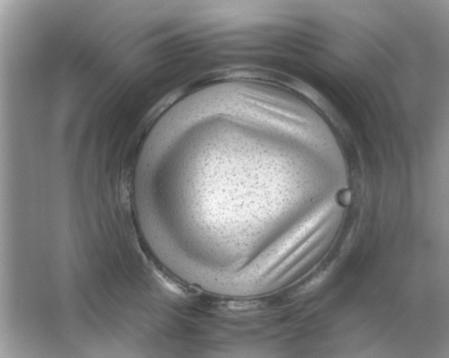 X0000065960857200603241845