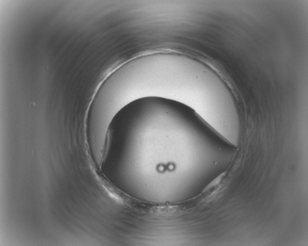 X0000065960858200603241845