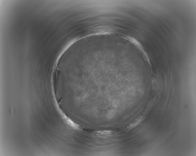 X0000065960859200603241845