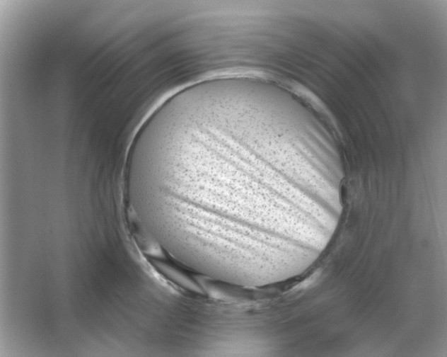 X0000065960860200603241845