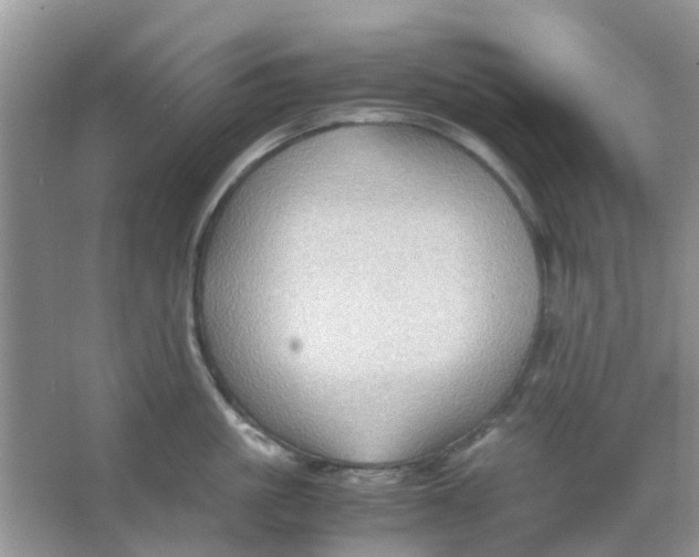 X0000065960861200603241845