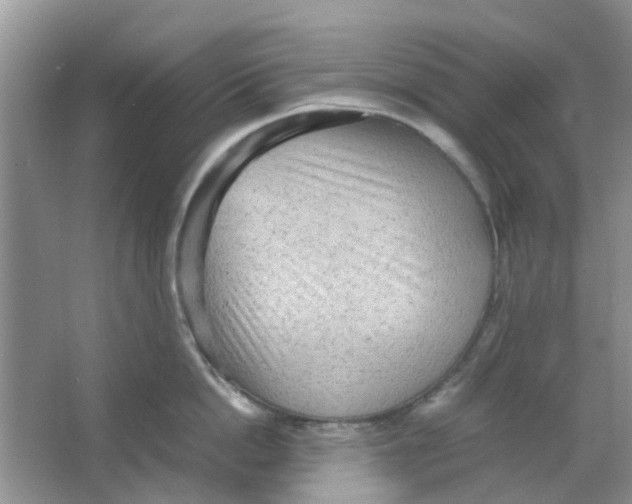 X0000065960862200603241845