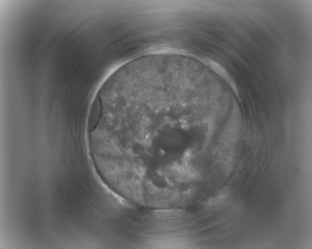 X0000065960863200603241845