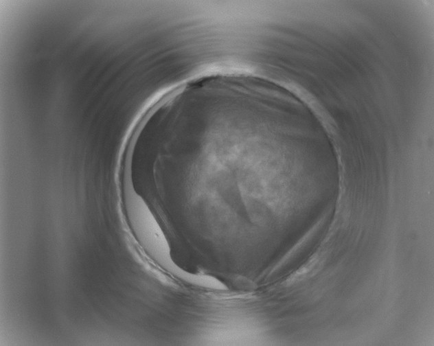 X0000065960864200603241845